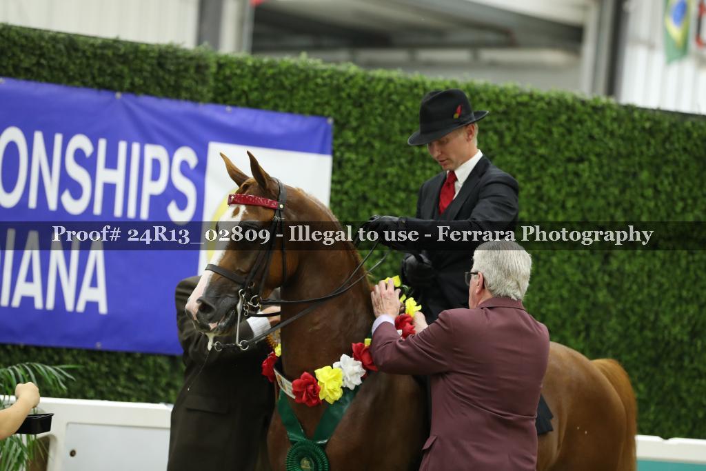 Proof 24R13_02809