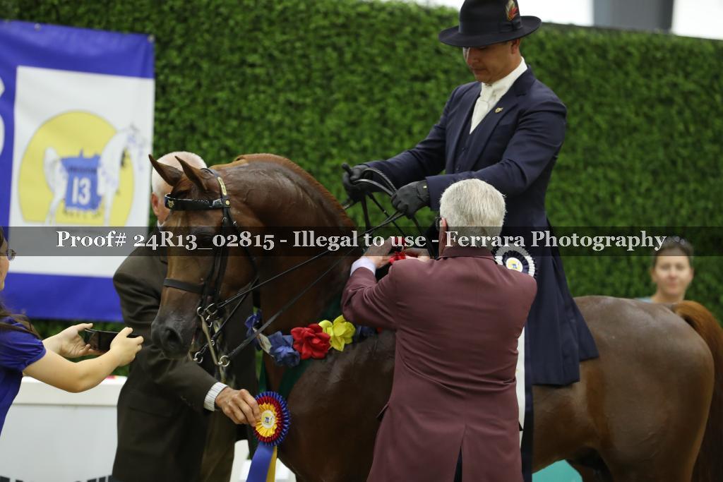 Proof 24R13_02815
