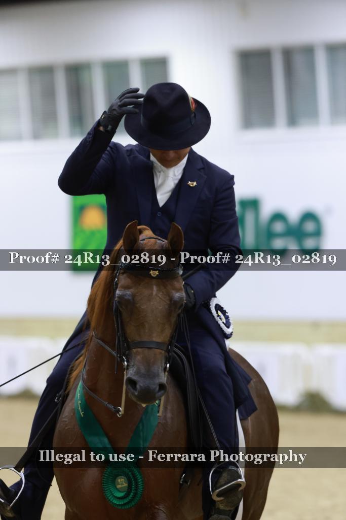 Proof 24R13_02819