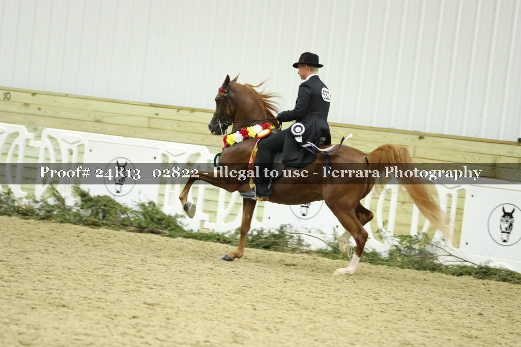 Proof 24R13_02822