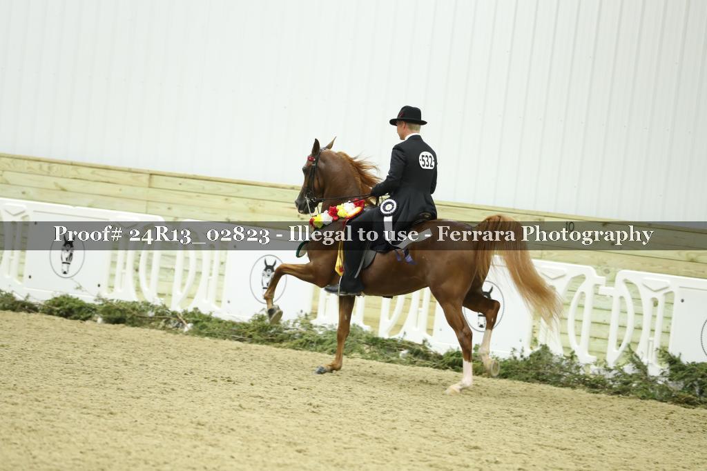 Proof 24R13_02823