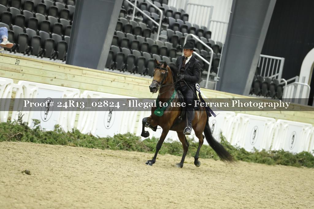 Proof 24R13_02824