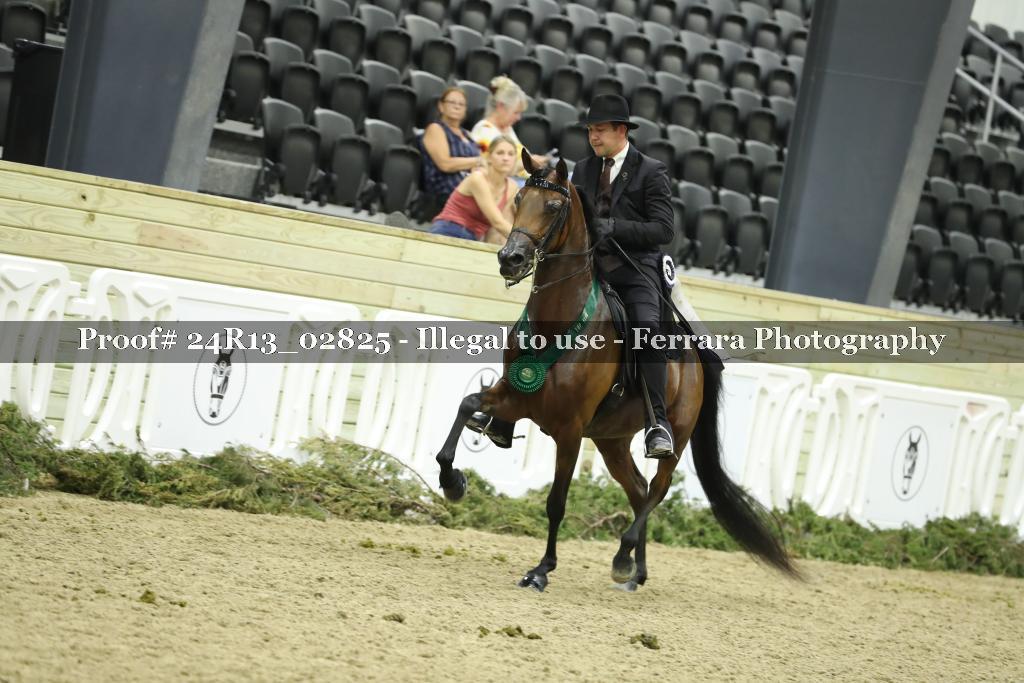 Proof 24R13_02825