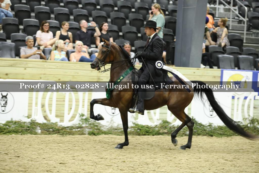 Proof 24R13_02828