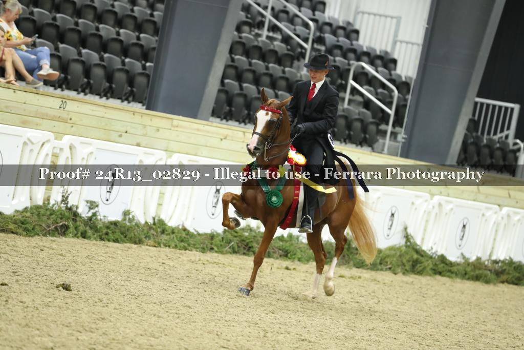 Proof 24R13_02829