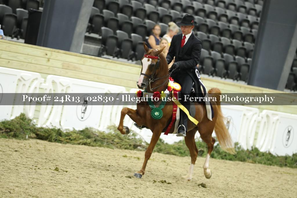 Proof 24R13_02830