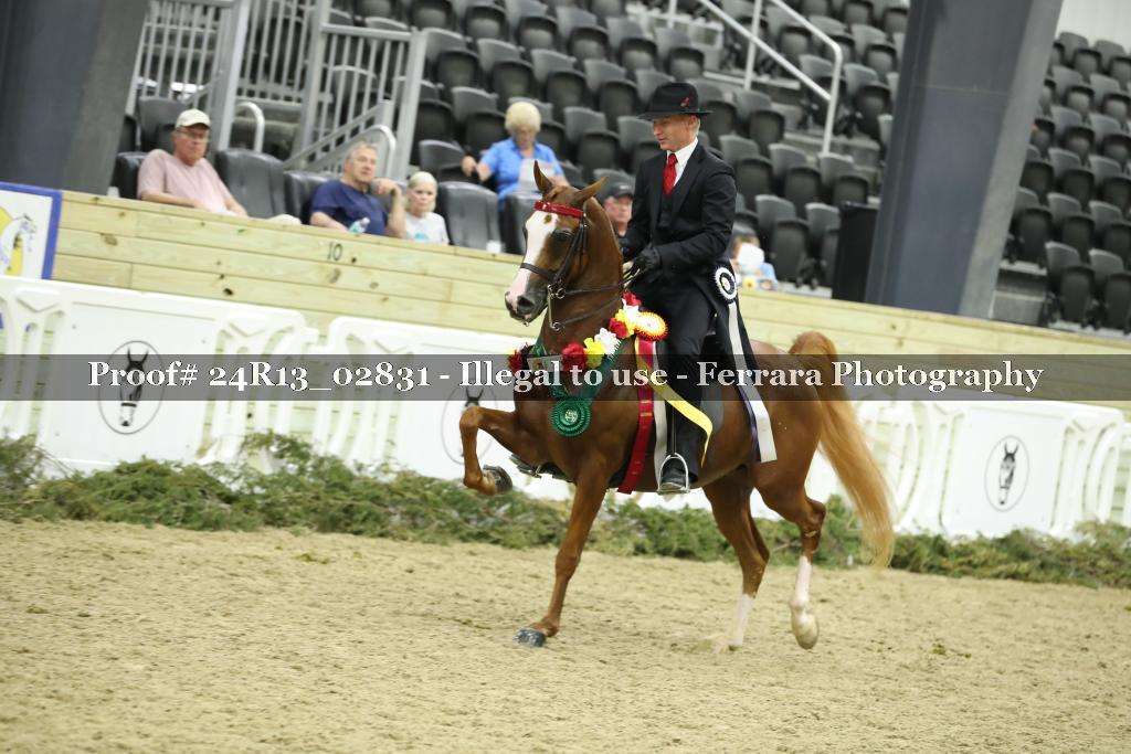 Proof 24R13_02831