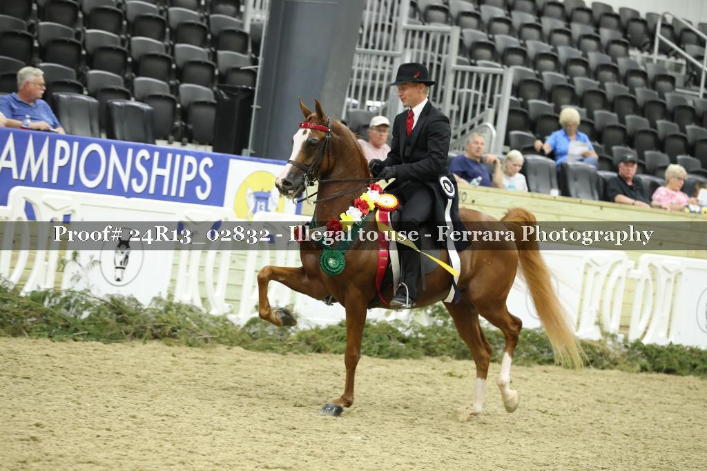 Proof 24R13_02832