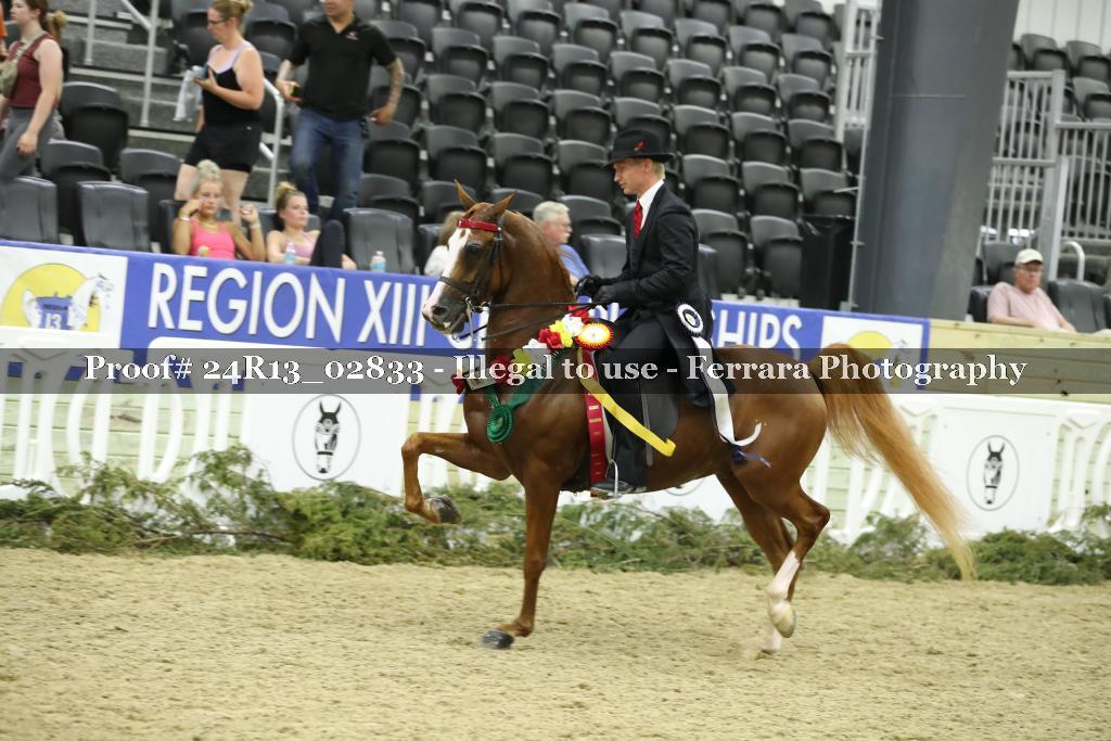 Proof 24R13_02833