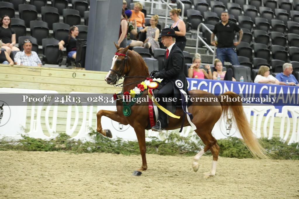 Proof 24R13_02834
