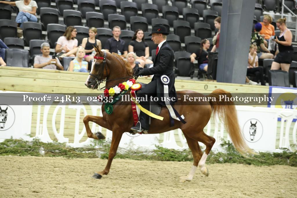 Proof 24R13_02835