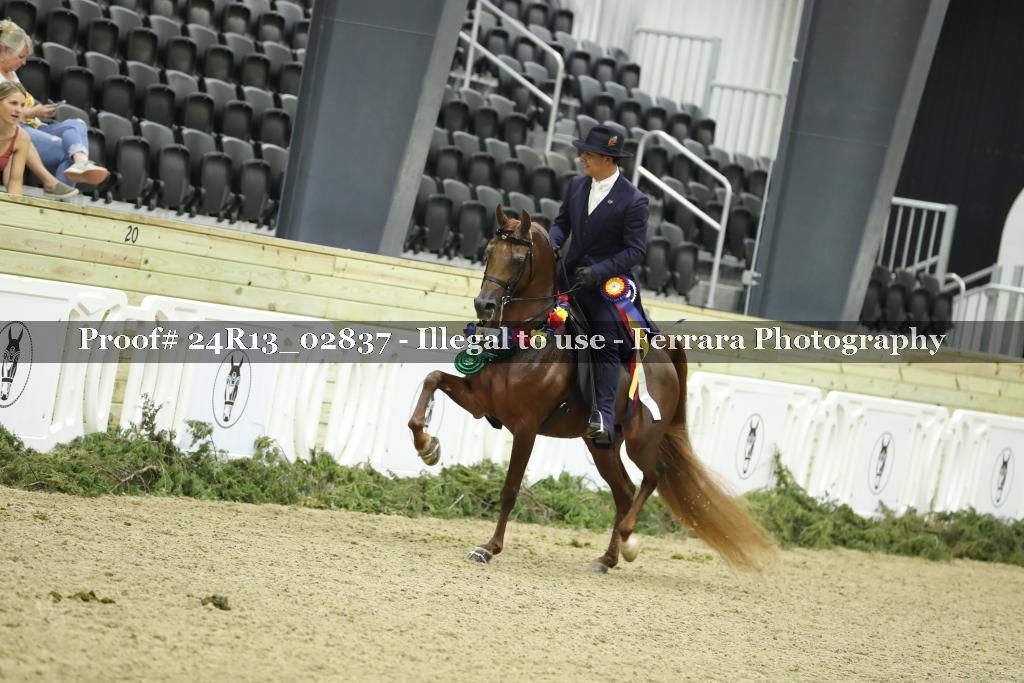 Proof 24R13_02837