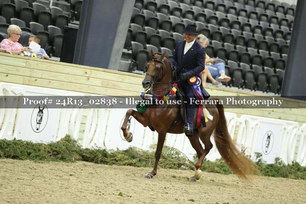Proof 24R13_02838