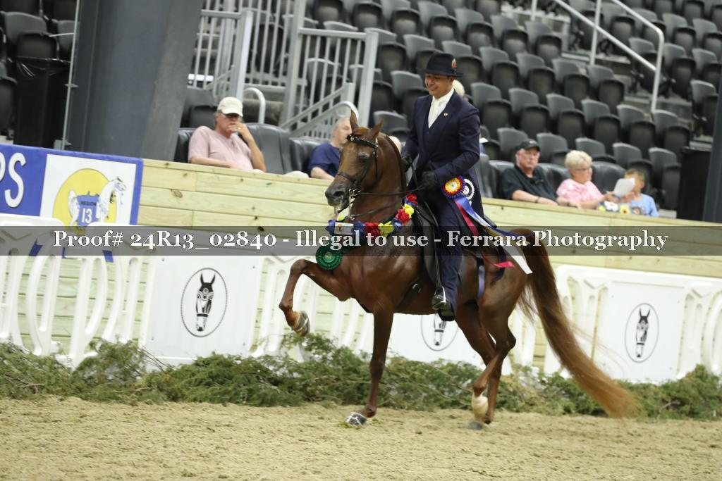 Proof 24R13_02840