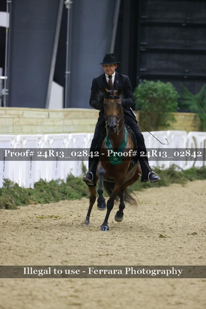 Proof 24R13_02842