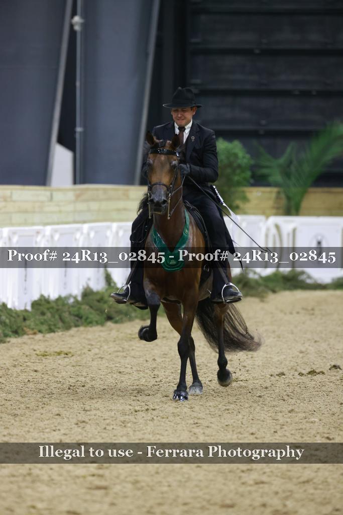 Proof 24R13_02845