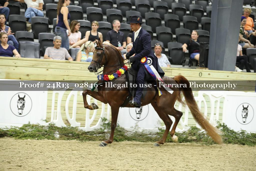 Proof 24R13_02846