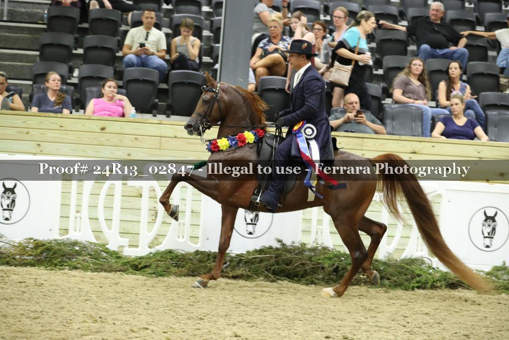 Proof 24R13_02847