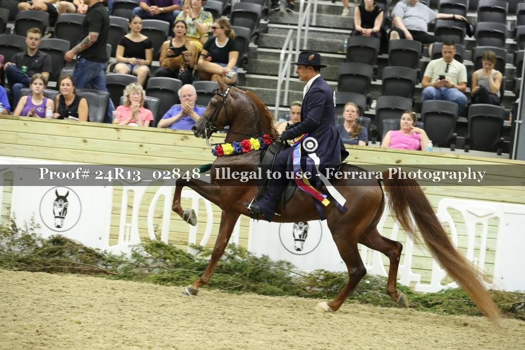 Proof 24R13_02848