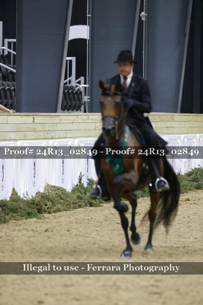 Proof 24R13_02849