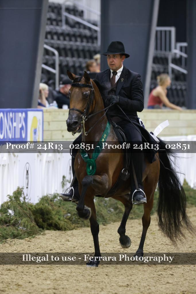 Proof 24R13_02851