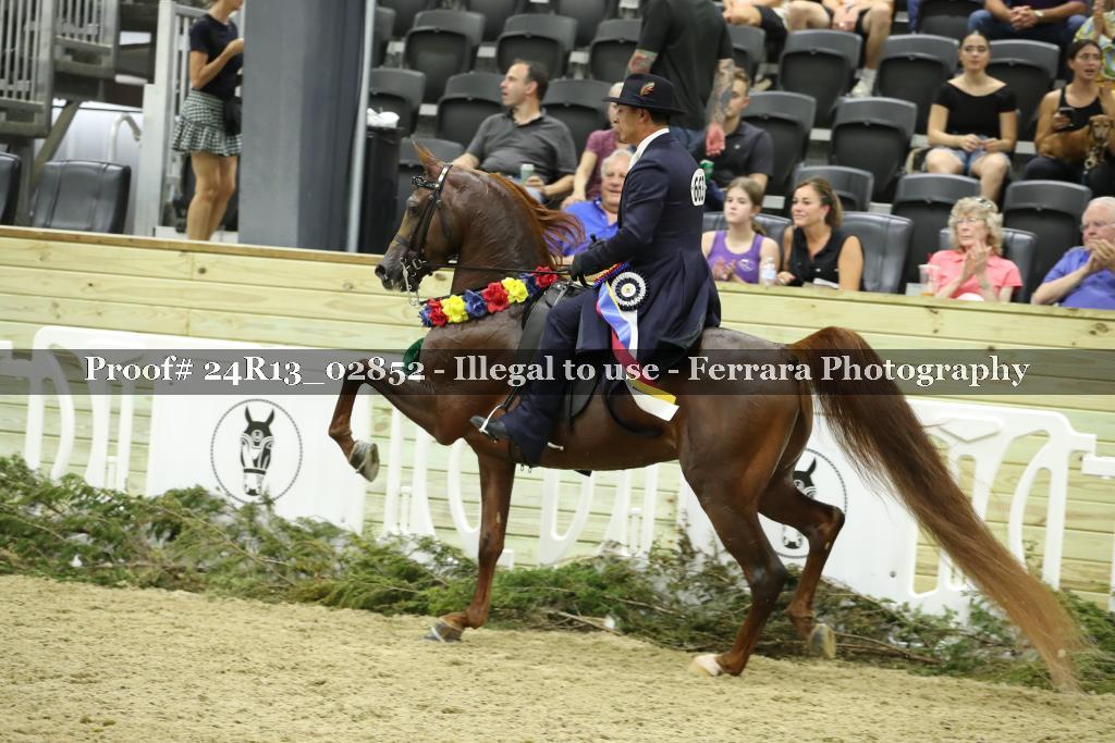 Proof 24R13_02852