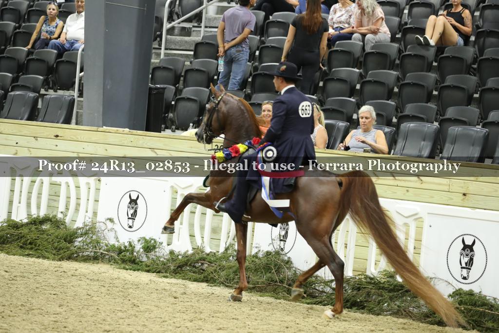 Proof 24R13_02853