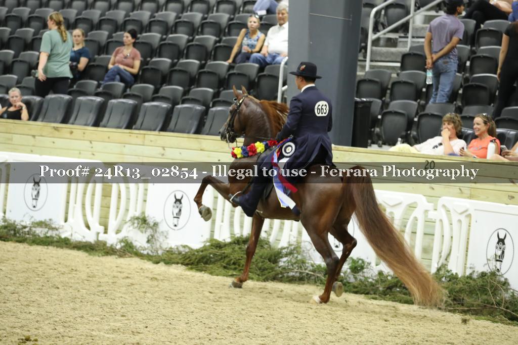 Proof 24R13_02854