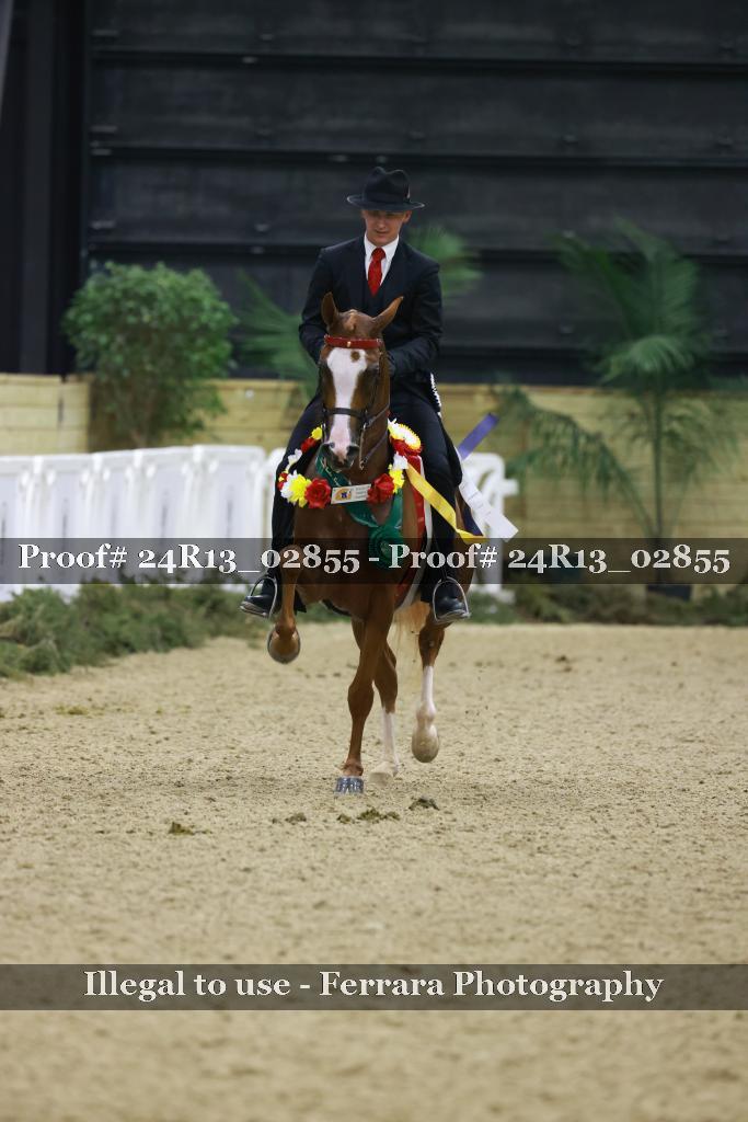 Proof 24R13_02855