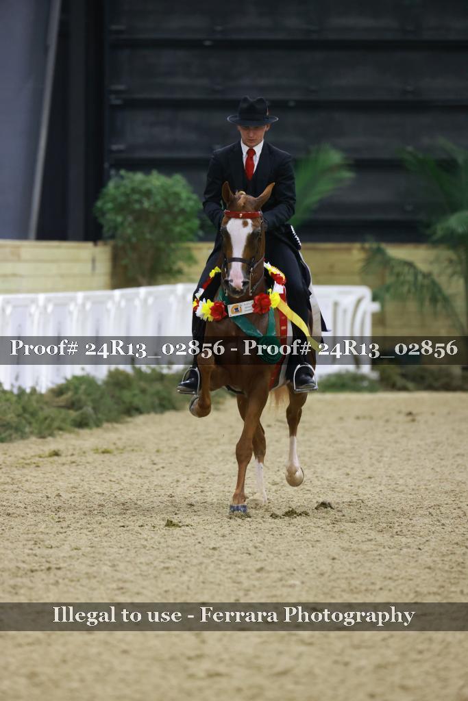 Proof 24R13_02856