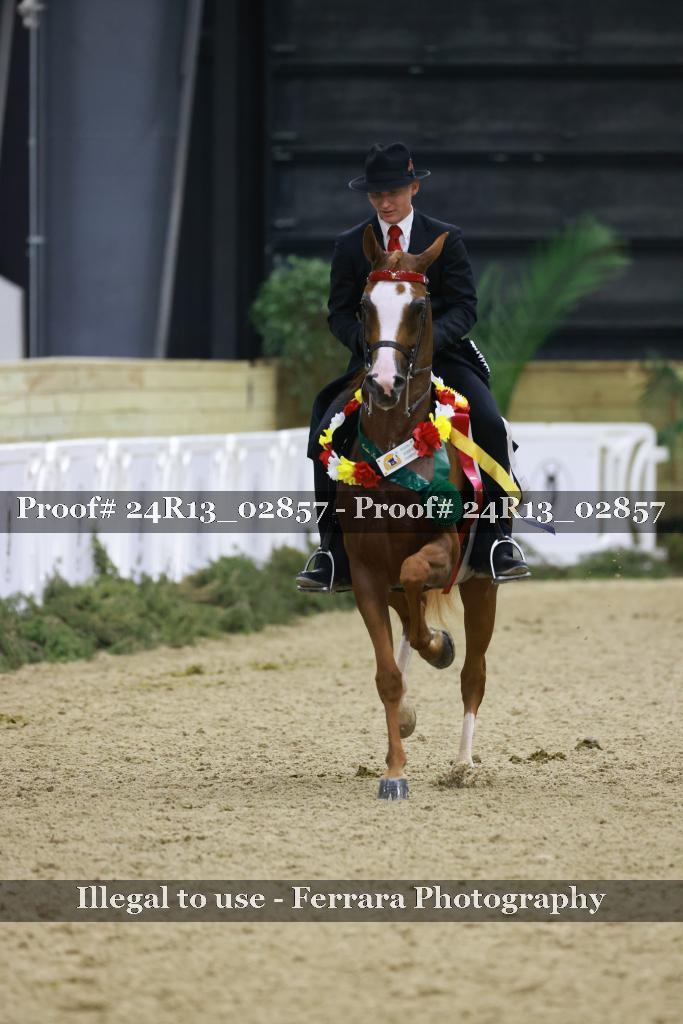 Proof 24R13_02857