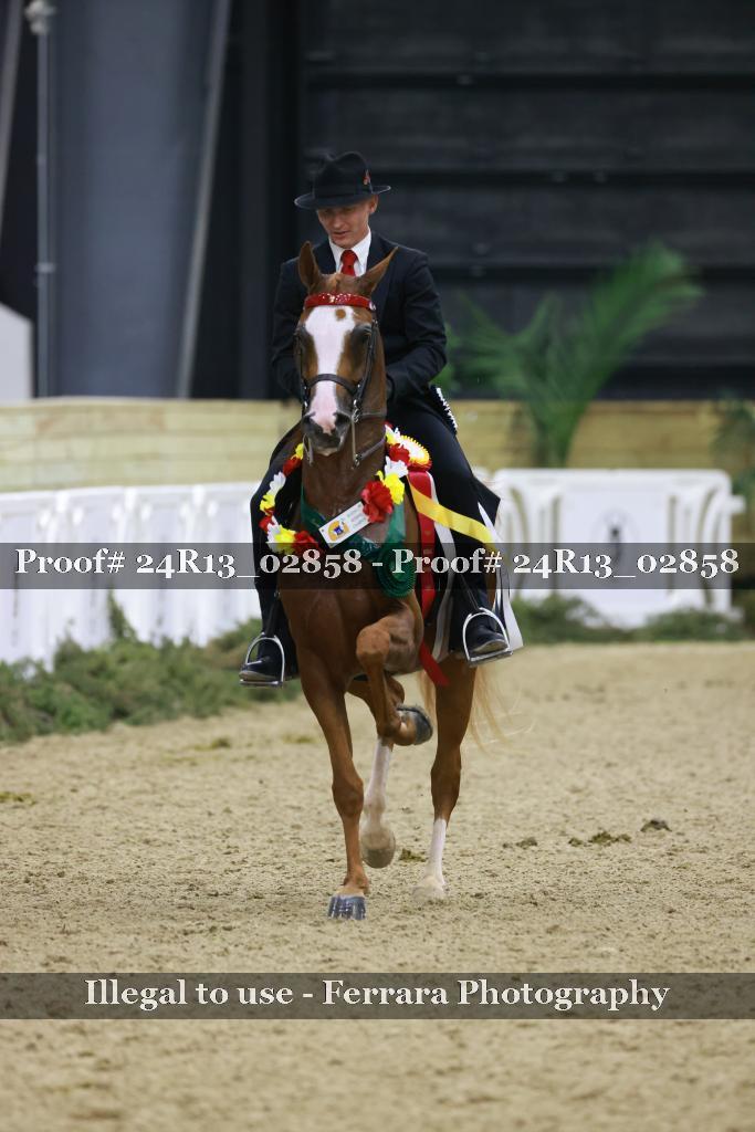Proof 24R13_02858