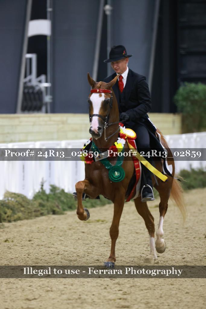Proof 24R13_02859