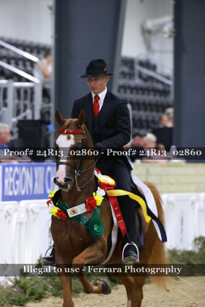Proof 24R13_02860