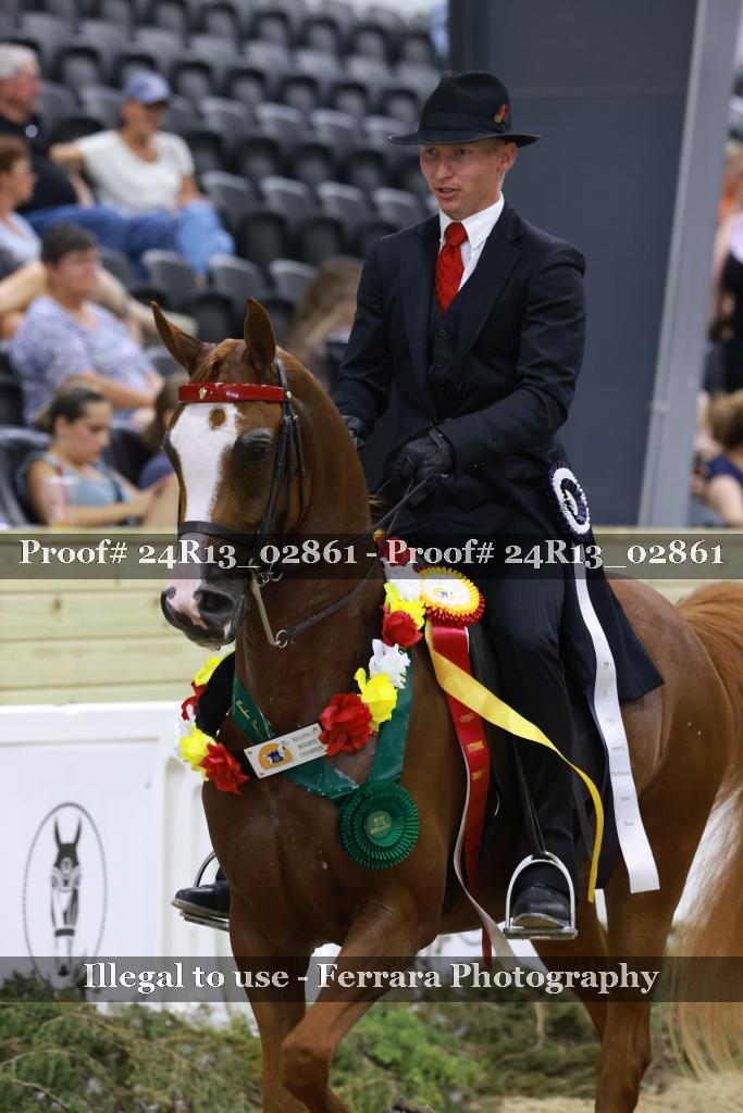 Proof 24R13_02861