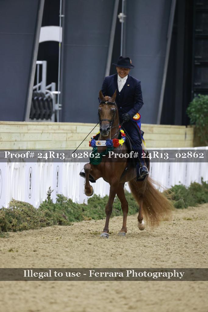 Proof 24R13_02862