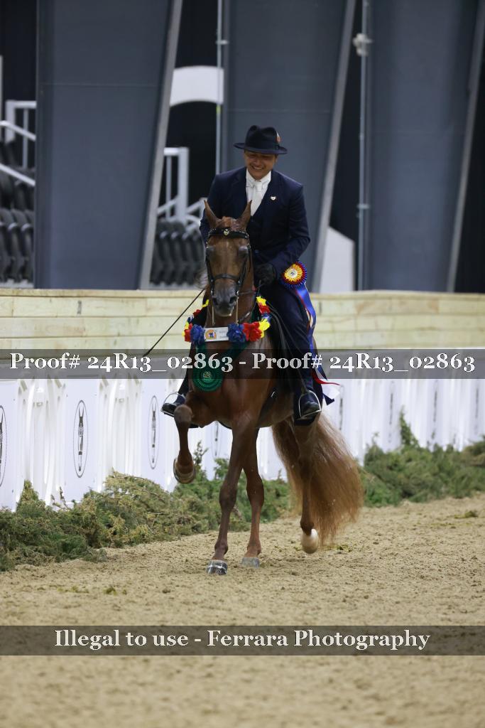 Proof 24R13_02863