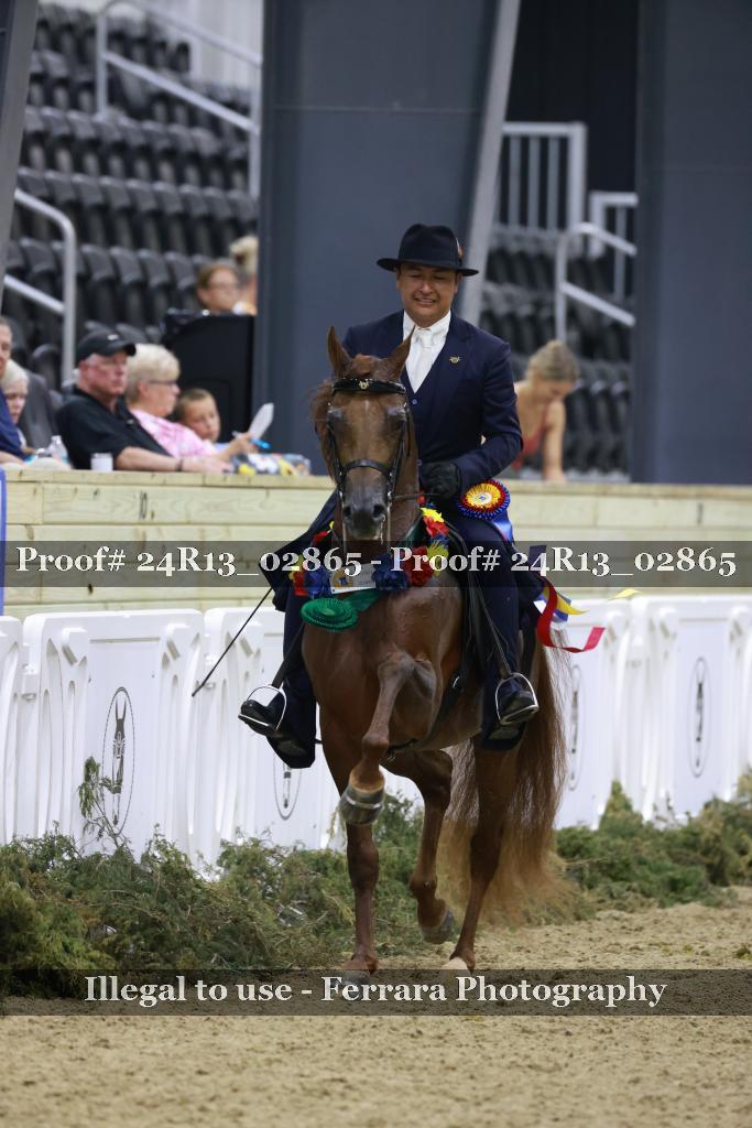 Proof 24R13_02865