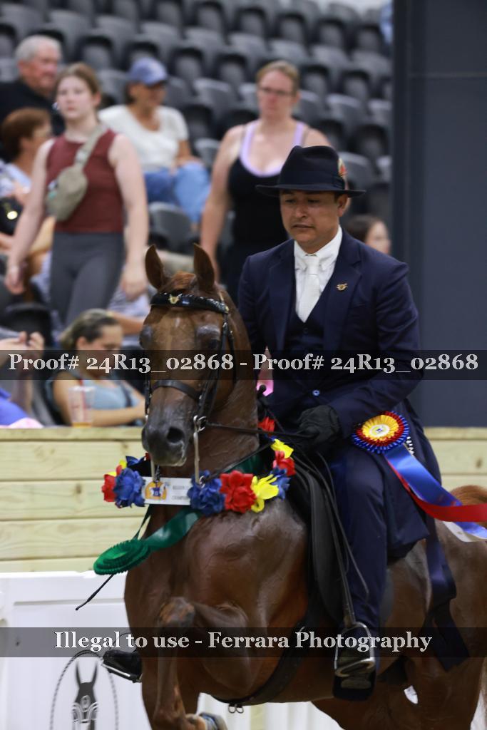 Proof 24R13_02868