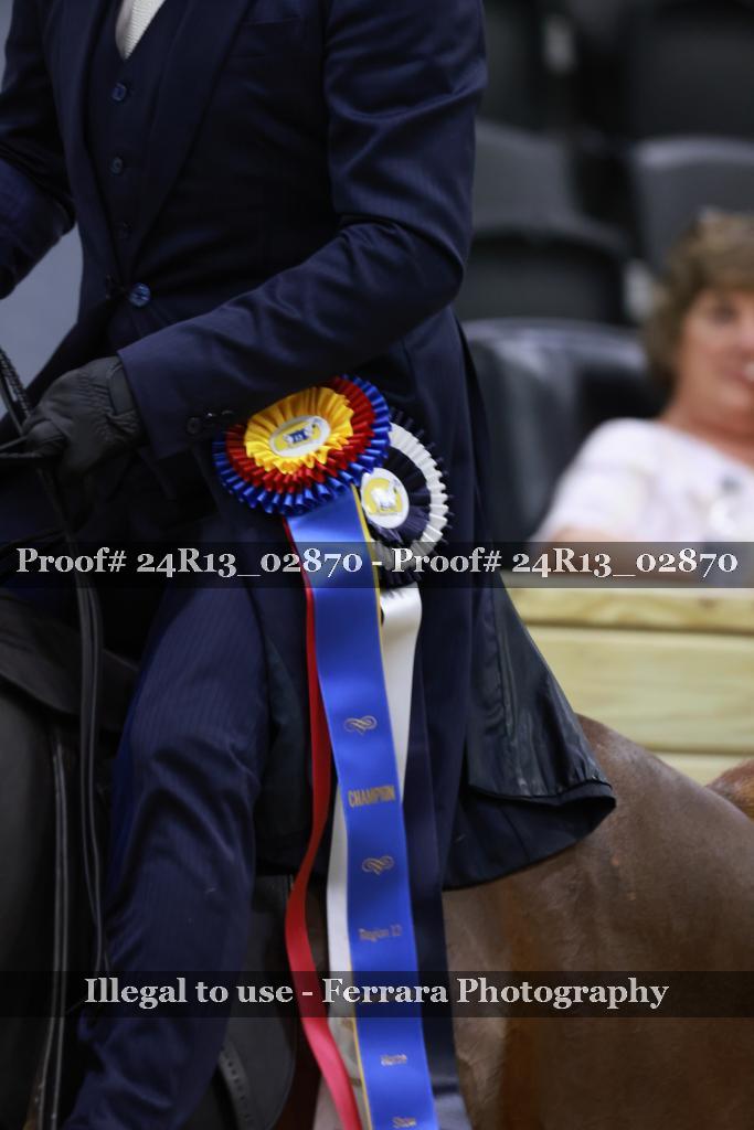 Proof 24R13_02870