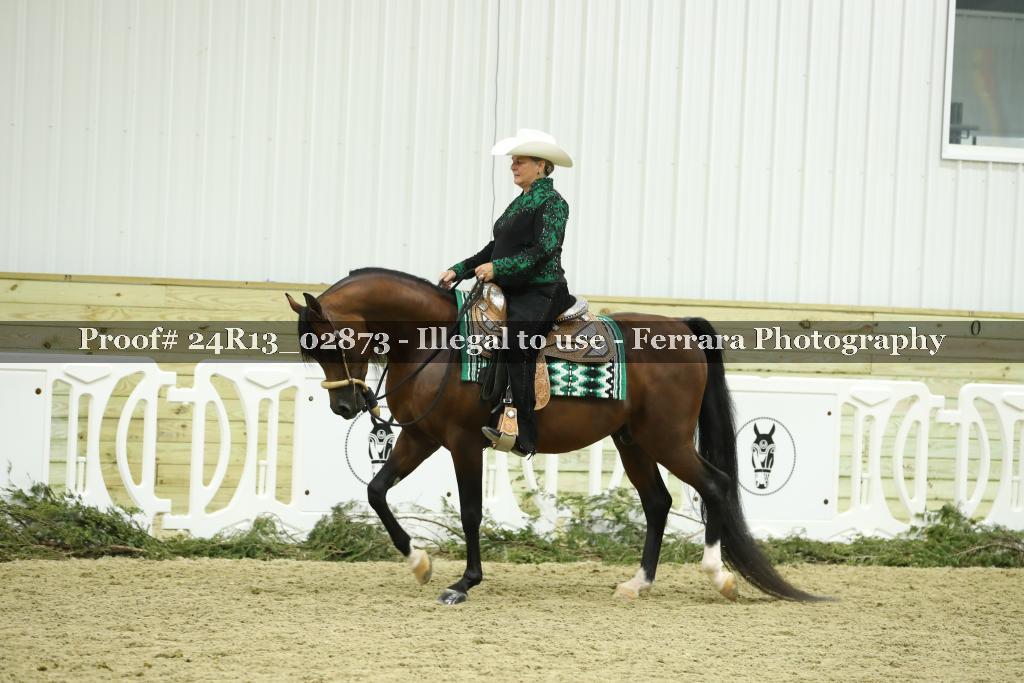 Proof 24R13_02873
