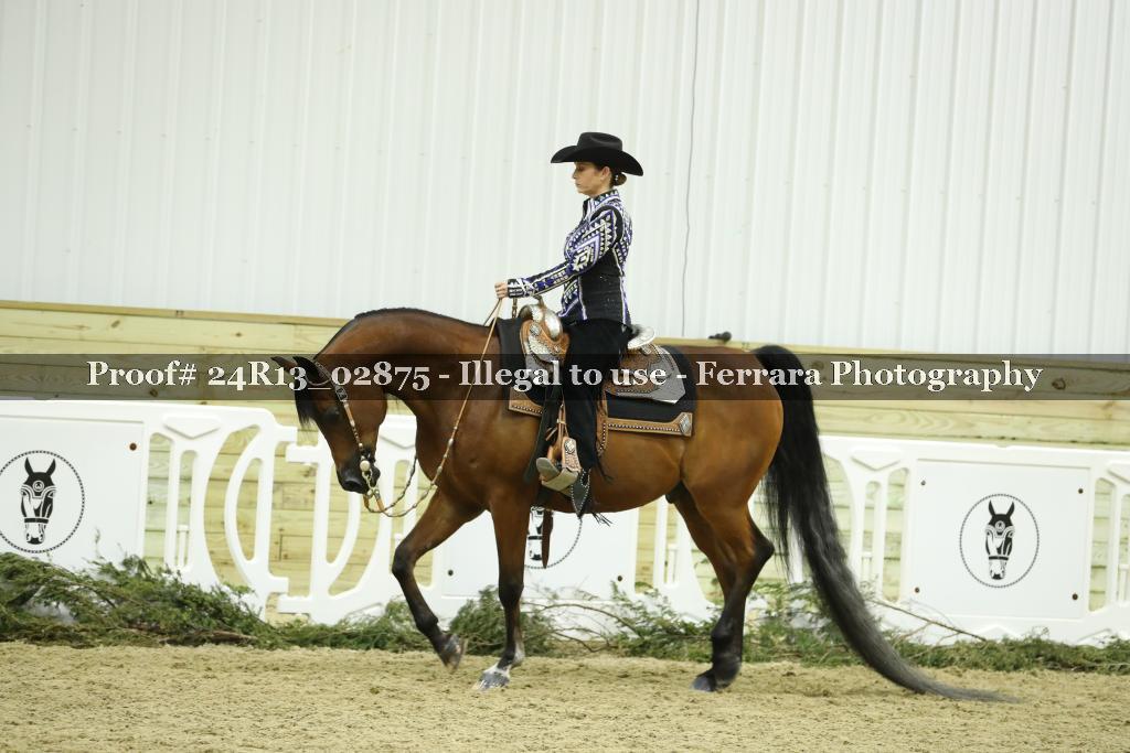 Proof 24R13_02875