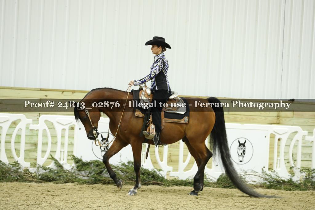 Proof 24R13_02876