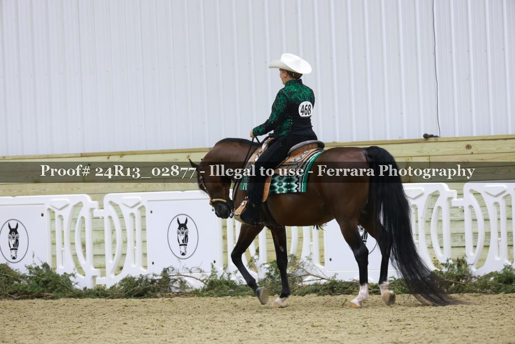 Proof 24R13_02877