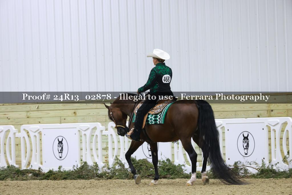 Proof 24R13_02878