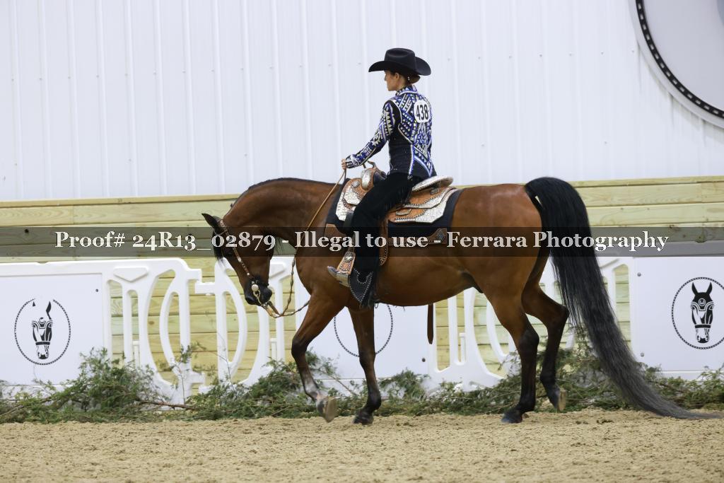Proof 24R13_02879