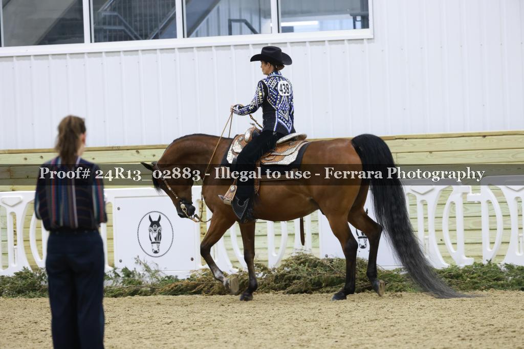 Proof 24R13_02883