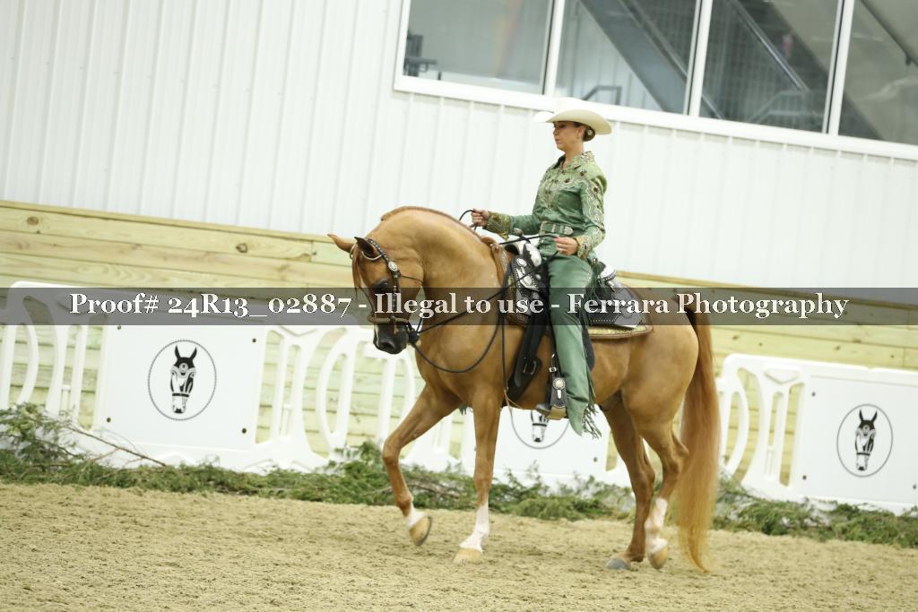 Proof 24R13_02887