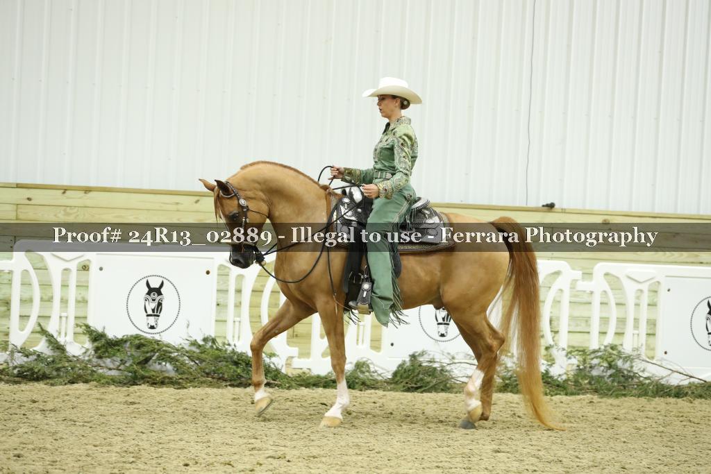 Proof 24R13_02889