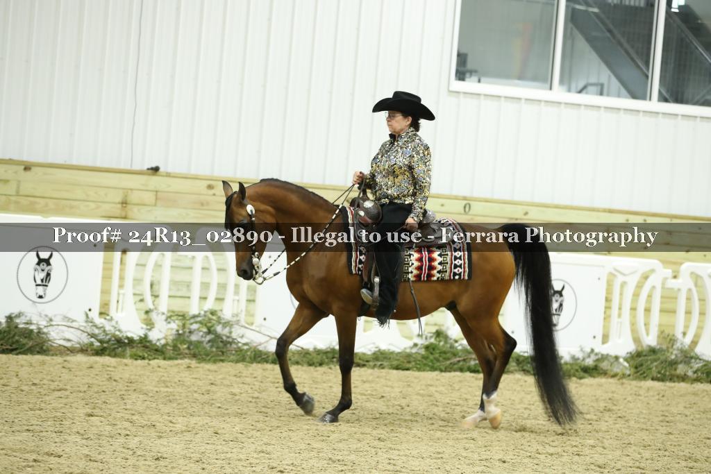 Proof 24R13_02890